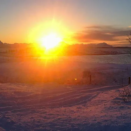 Semesterbostad Holiday